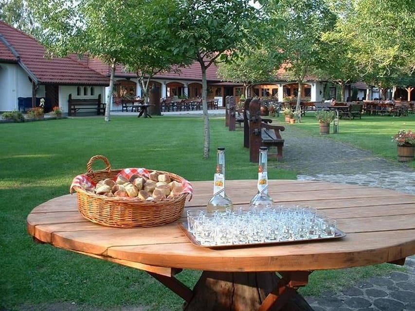 From Budapest: Puszta Horse Show and Countryside Visit - Who This Tour Fits Best (and Who Might Want Another Option)