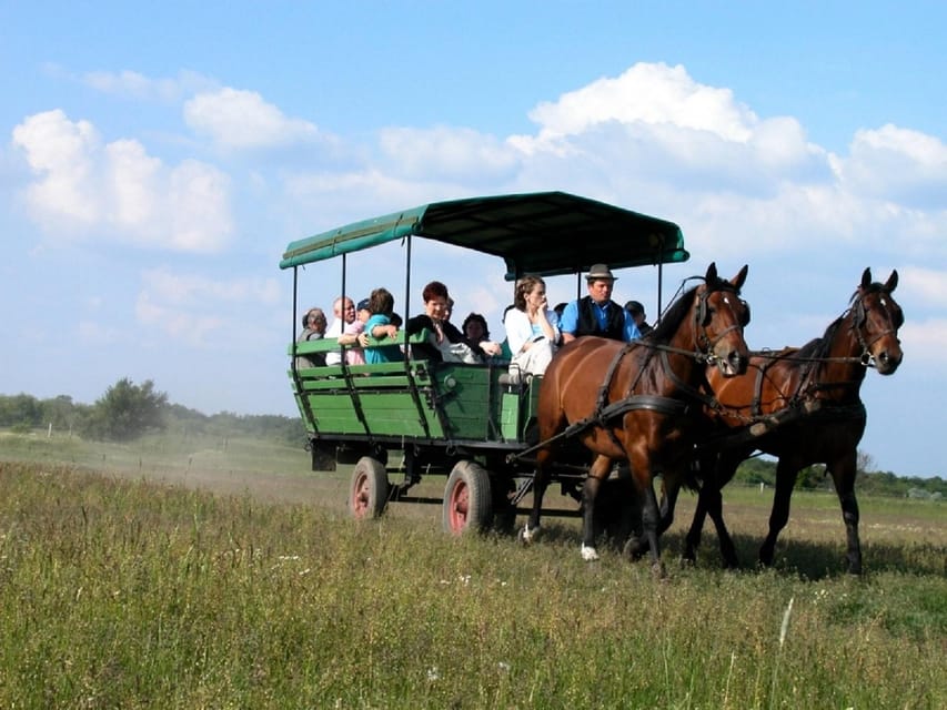 From Budapest: Puszta Horse Show and Countryside Visit - Should You Book the Puszta Horse Show and Countryside Visit?