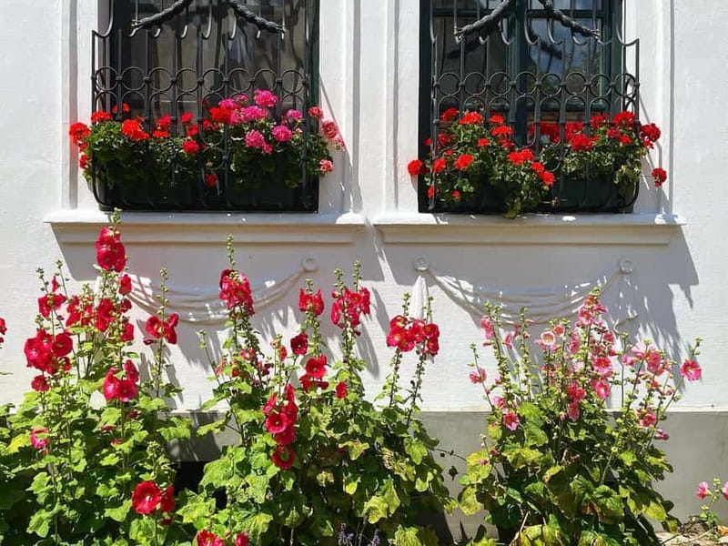 From Budapest: Szentendre Art and History with StreetFood - History Stories Built Into the Architecture and Streets