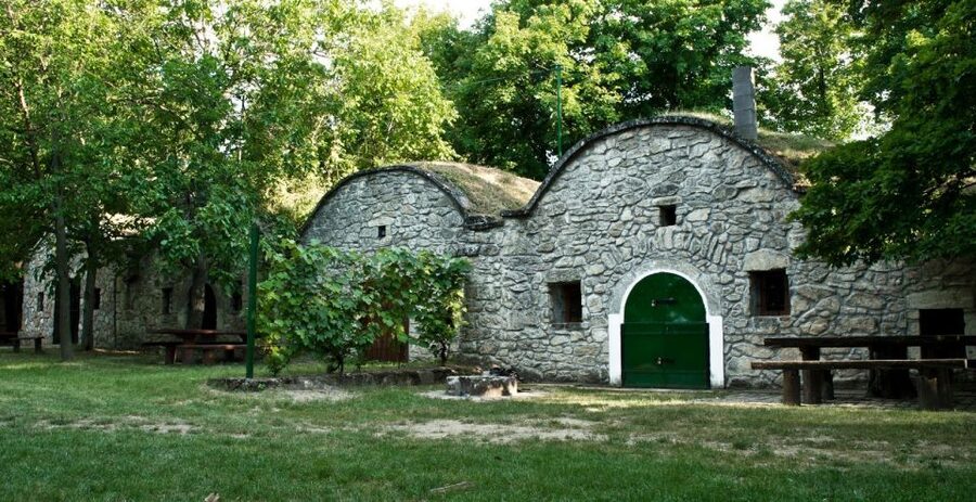 From Budpaest: Páty Wine Village Tour with Tastings - Group size, guide style, and what to expect from the vibe