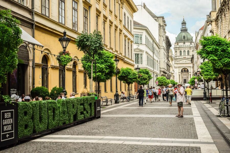 Full Day Budapest City Tour with Lunch, Wine & Dessert - Heroes’ Square to Vajdahunyad Castle, with Szechenyi Spa on the route