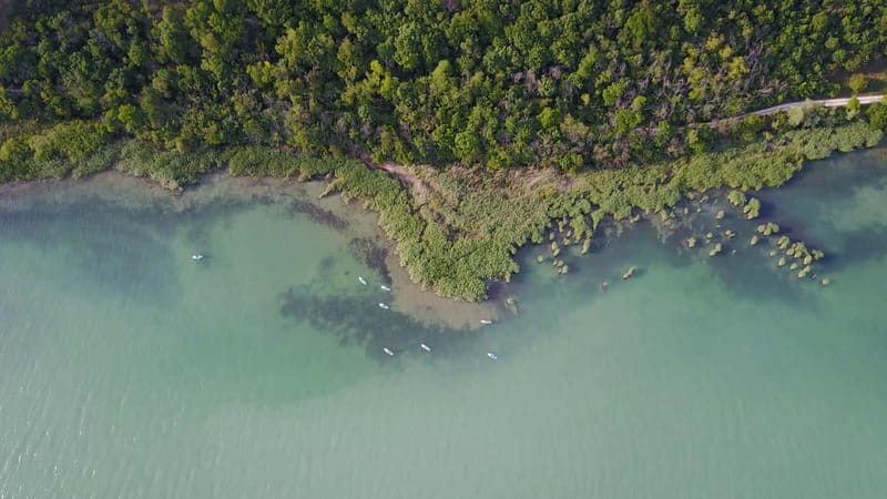 Lake Balaton 3 hour SUP tour - self-guided - Gear, Comfort, and Beginner-Friendly Choices