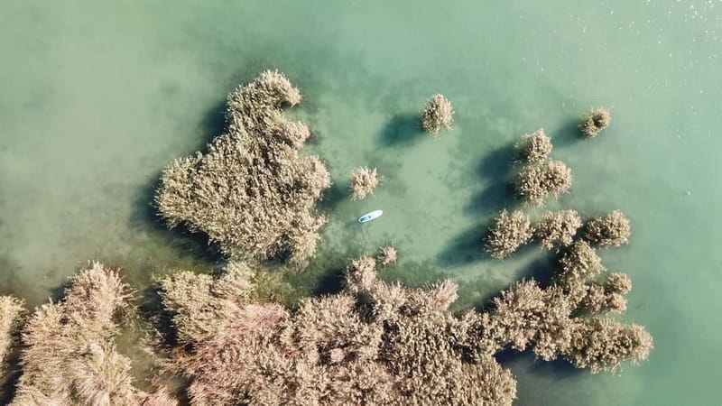 Lake Balaton 3 hour SUP tour - self-guided - Who This Tour Suits Best (and who should skip it)