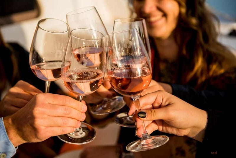 Lake Balaton:Private Sailing Cruise with Skipper - Wine, Snacks, and Special Celebrations on Board