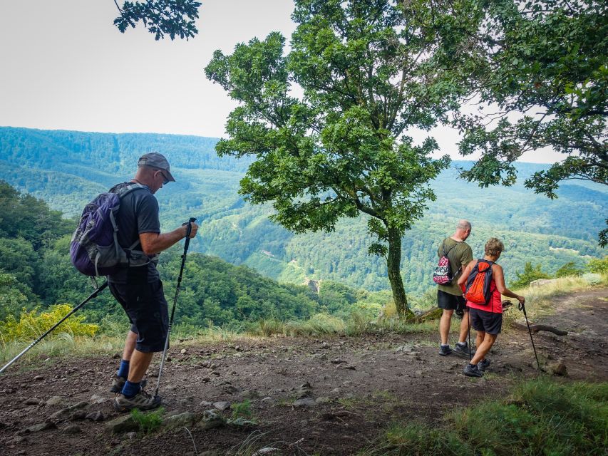 One Day Wonder Hike - The Essence of the Danube Bend - Budapest pickup to Dömös: the van time you earn back