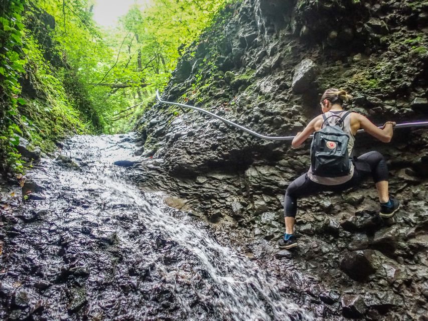 One Day Wonder Hike - The Essence of the Danube Bend - Downhill through ravines: when water carved the forest