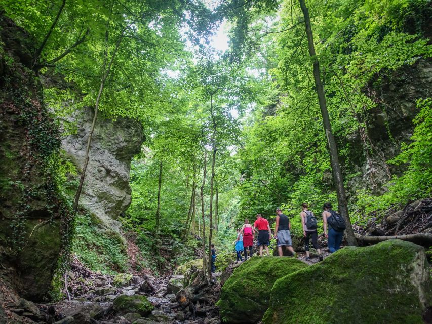 One Day Wonder Hike - The Essence of the Danube Bend - Visegrád Castle ticket: a culture stop that fits the hills