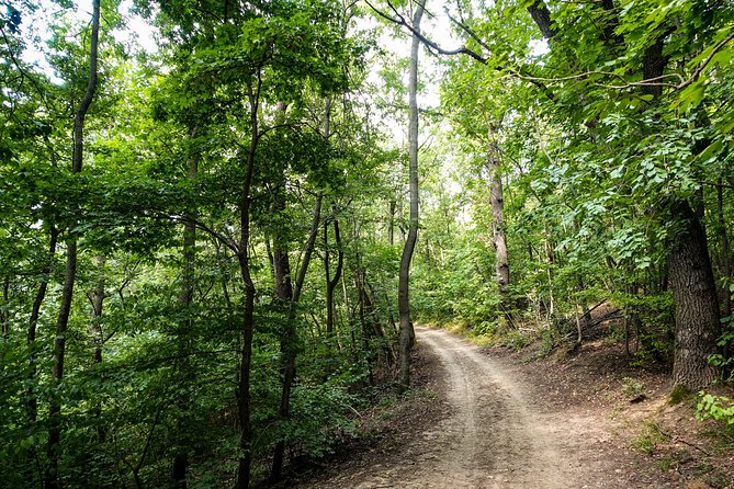 Panoramic hike around Budapest - Fairy Rock and Hárs-Hegy: extra viewpoints with less noise