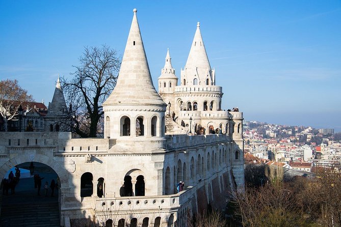 Private Budapest City Tour by Car - Jewish Heritage area: synagogues and the Tree of Life area