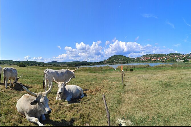 Private tour from Budapest to a top hidden treasure region of Europe: Lake Balaton - Why Lake Balaton feels special when you start from Budapest