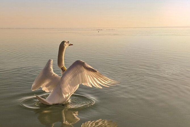 Private tour from Budapest to a top hidden treasure region of Europe: Lake Balaton - Lake Balaton viewpoints: where the colors matter in October