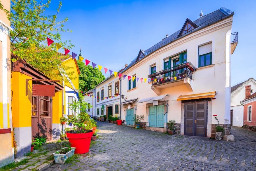 Private trip: Budapest to Szentendre, Visegrád & Esztergom - Driver style: English communication, but not a licensed guide