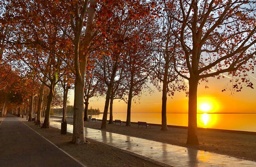 The Turquoise Sea of Hungary: Lake Balaton Private Tour - Private transportation from Budapest: comfort, timing, and what $235 buys