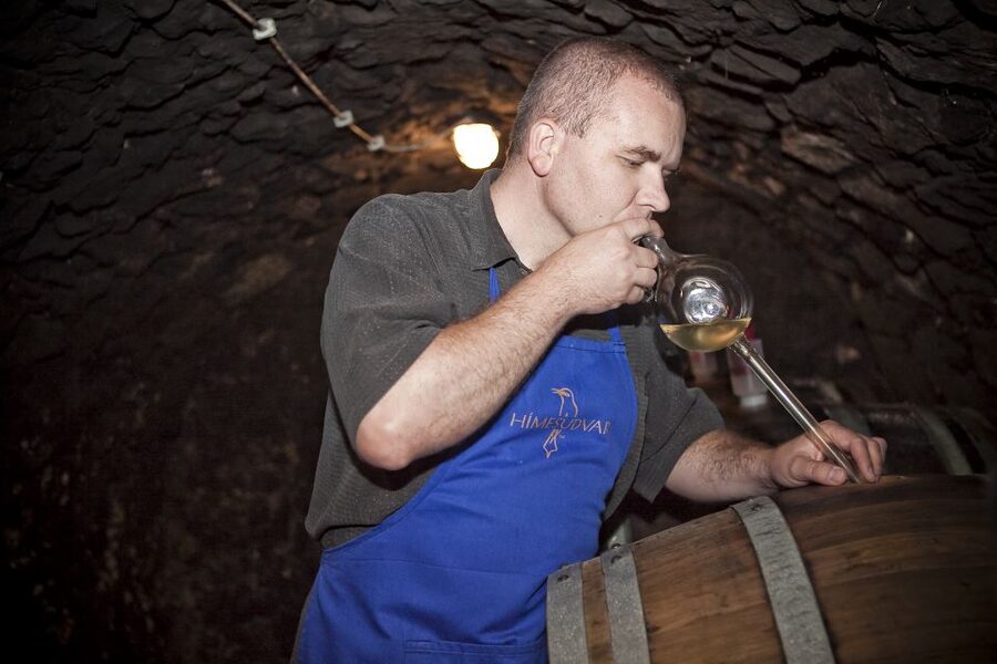 Tokaj: Classic Wine Tasting - Food Pairing That Keeps You Comfortable: Cheese, Bread, Olives