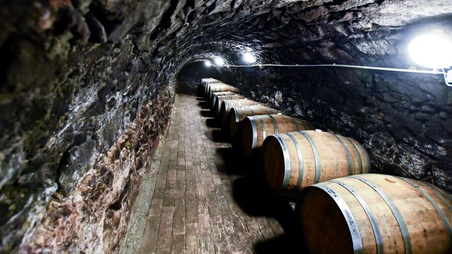 Tokaj: Classic Wine Tasting - Learning Tokaj Terroir and Winemaking Without a Lecture