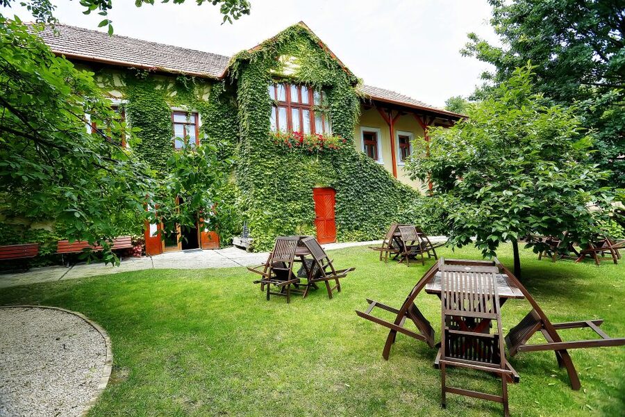 Tokaj: Classic Wine Tasting - The 500-Years-Old Wine Cellar: More Than a Photo Stop
