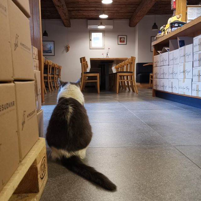 Tokaj: Vineyard Tour & Tasting - How the Hímesudvar team explains the wine making process