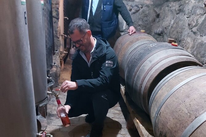Wine Tasting in the Countryside from Budapest - Key highlights worth your attention
