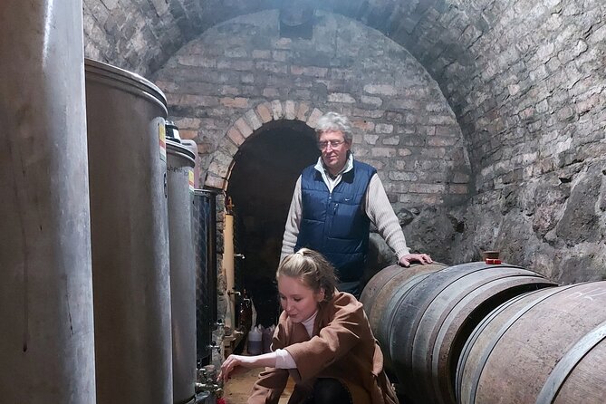 Wine Tasting in the Countryside from Budapest - What you eat while you taste: sausages, cheese, olives, and more