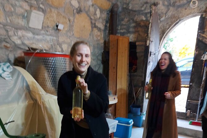 Wine Tasting in the Countryside from Budapest - What to taste and how to enjoy Hungarian wine without stress